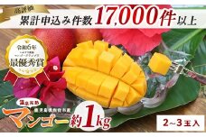 【2025年 発送】【訳あり】鹿児島県いぶすき産 温泉完熟マンゴー約1kg(T&P/016-1750) マンゴー フルーツ 果物 旬 夏 指宿 いぶすき 鹿児島  完熟  グルメ 南国 南国フルーツ 果実 マンゴー 太陽 国産 鹿児島県産 果汁 規格外 