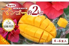 【2025年 発送】南国いぶすきの温泉熱で育てた甘くて上品な温泉完熟マンゴー約2kg4～6個(T&P/049-1754) マンゴー フルーツ 果物 旬 夏 指宿 いぶすき 鹿児島  完熟  お供え 御供 ギフト 贈り物 プレゼント グルメ 予約 先行予約 南国 南国フルーツ 果実 マンゴー 太陽 国産 鹿児島県産 果汁