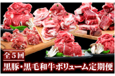 【全５回定期便】黒豚 ・ 黒毛 和牛 ボリューム 定期便7月～11月発送(水迫畜産/Z050-598) 豚 牛 肉 生ハム 切り落とし カレー シチュー 肉じゃが 生姜焼き 家庭用 豚肉 牛肉 国産 鹿児島県産 鹿児島 指宿 いぶすき 頒布会 定期 定期便
