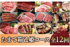 【全１２回定期便】指宿のたまて箱乙姫コース(Z300-1717) 定期 頒布会 鰻 うなぎ 蒲焼き 蒲焼 かばやき さつまあげ 黒毛和牛 サーロイン ステーキ 黒豚 国産 鹿児島県産 ローストビーフ 和牛 牛 牛肉 豚肉 豚 鰹 カツオ かつお たたき かつおのたたき 焼肉 焼き肉 やきにく しゃぶしゃぶ 豚しゃぶ 鍋 すき焼き すきやき チャーミートン 茶美豚 鰤 ぶり ブリ