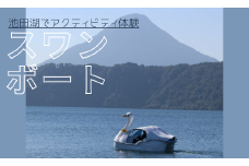 【池田湖でアクティビティ体験】スワンボート 60分間1台レンタル(えぷろんはうす池田/A-179)