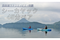 【池田湖でアクティビティ体験】シーカヤック 45分間ペアチケット(えぷろんはうす池田/A-180)
