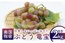 【2025年7月下旬～順次発送】ぶどう(竜宝4～6房)約2kg(迫田果樹園/016-1225) 葡萄 ブドウ フルーツ 果物 果実 旬 夏 果樹園