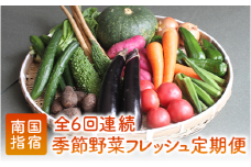 【全６回定期便】季節野菜フレッシュ定期便(岡村商店/Z-018)