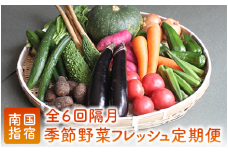 【全６回定期便】 季節 野菜 フレッシュ 定期便 / 隔月 (岡村商店/Z-019)  スナップ そら豆 オクラ 枝豆 キャベツ トマト ほうれん草 人参