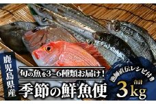 【指宿産直便】漁師が選ぶ季節の鮮魚便 お試しセット(指宿山川水産/A-227) 鹿児島 魚 鮮魚 魚介 旬 お刺身 お寿司 煮付 料理 国産