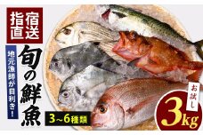 【指宿産直便】漁師が選ぶ季節の鮮魚便 お試しセット(指宿山川水産/A-227) 鹿児島 魚 鮮魚 魚介 旬 お刺身 お寿司 煮付 料理 国産