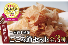 一本釣鰹本枯節「こころ節」削り節2種と粉末パウダー1種セット(坂井商店/A-270) ESSE ふるさと グランプリ 2023 金賞 授賞 かつおぶし 特産品 いぶすき 鹿児島 鰹 加工品 だし みそ汁 魚介類 海鮮 特選 調味料 トッピング 