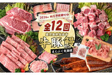 【2026年発送 先行予約】【全１２回定期便】鹿児島自慢の 豚 ・ 牛 ・ うなぎ まんぷく 定期便 (水迫畜産/Z100-1773) 頒布会 頒布 定期 国産 肉 豚 牛 豚肉 牛肉 鹿児島県産 生ハム すき焼き 和牛 国産牛 薄切り スライス 黒毛和牛 霜降り バラ ロース 黒豚 鍋 しゃぶしゃぶ カルビ 小分け カレー シチュー ステーキ 焼き肉 焼肉 指宿 鹿児島 いぶすき