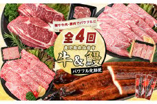 【全４回定期便】鹿児島自慢牛・うなぎパワフル便(水迫畜産/Z050-1774) 国産 鰻 鹿児島 蒲焼 豚肉 肉 黒豚 和牛 うなぎ蒲焼 鰻蒲焼 頒布会 定期 指宿 しゃぶしゃぶ すき焼き ステーキ 国産牛 鹿児島県産 牛 豚 ロース