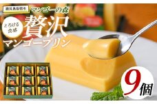 マンゴー農家の贅沢マンゴープリン9個入(マンゴーの森/A-309)