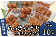 ちっきゃげ天の小分けパック詰合せ10袋セット(ちっきゃげ天/A-317)  さつまあげ 練り物 すり身 つまみ 詰合せ 惣菜 天ぷら 鹿児島