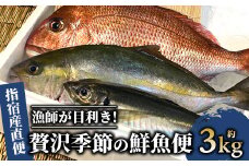 【指宿産直便】漁師が選ぶ季節の鮮魚便  贅沢セット(指宿山川水産/022-1092) 鹿児島 魚 鮮魚 魚介 旬 お刺身 お寿司 煮付 料理 国産