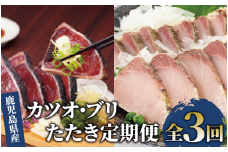 【全３回定期便】カツオとブリのたたき定期便(指宿食品/Z041-307)