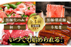 【全４回定期便】豚・牛・うなぎ　鹿児島よくばり定期便2(水迫畜産/Z050-534)国産 鰻 指宿市 蒲焼 牛肉 豚肉 生ハム