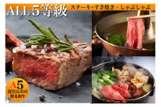 ALL5等級鹿児島県産黒毛和牛(水迫畜産/033-1196)