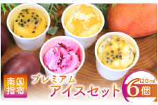 ゴロゴロ果肉入りプレミアムアイス6個セット(マンゴーの森/013-1212)
