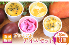 ゴロゴロ果肉入りプレミアムアイス10個セット(マンゴーの森/022-1211)