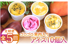 【全５回定期便】ゴロゴロ果肉入りアイス10個入定期便(マンゴーの森/Z100-290) アイス フルーツ マンゴー スイーツ シャーベット