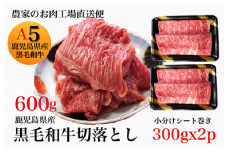 鹿児島県産黒毛和牛5等級切落し600g(水迫畜産/013-1291)牛肉 牛 国産