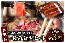 【全３回定期便】うなぎ・黒豚・黒毛和牛 鹿児島極み贅沢セット いつからでも定期便(水迫畜産/Z034-533) 国産 鰻 指宿市 蒲焼 牛肉 豚肉 肉 黒豚