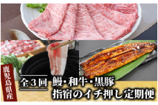 【全３回定期便】鰻・和牛・黒豚 指宿のイチ押し定期便(Z055-294)国産 うなぎ 牛肉 豚肉