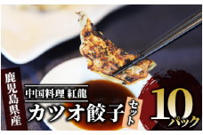 カツオ 餃子 10パック セット (紅龍/010-391) 餃子 ぎょうざ ギョウザ ギョーザ セット 餃子 ギョウザ 冷凍 餃子 鹿児島 ぎょうざ ギョウザ ギョーザ かつお カツオ 鰹 ぎょうざ 冷凍 ギョウザ 餃子小分け ぎょうざ ギョウザ ギョーザ小分け 餃子鍋 点心 飲茶 餃子 ぎょうざ ギョウザ ギョーザ かつお カツオ