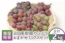 【2025年8月上旬～順次発送】迫田果樹園のぶどう 指宿産ぶどうのおまかせミックスセット約2.0kg(迫田果樹園/016-1342) ブドウ 葡萄 果物 フルーツ 果実 果樹園 食べ比べ 食べくらべ 詰合せ つめ合わせ
