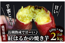 【鹿児島県産 さつま芋】芋蜜とろり 紅はるかの冷凍焼き芋 2kg(500g×4袋)(中園久太郎商店/010-430) サツマイモ 薩摩芋 焼芋 やきいも 焼きいも スイーツ おやつ デザート
