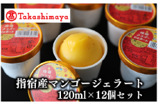 ＜高島屋選定品＞指宿マンゴージェラート12個セット(6個×2箱)(TK024-1836/59D1964)