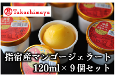 ＜高島屋選定品＞指宿マンゴージェラート9個セット(TK017-1835/59D1953)