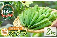 指宿(いぶすき)産オクラ2kg(オネファーム/010-461) 野菜 夏野菜 旬 特産 夏 新鮮 オクラ 鹿児島 オネファーム 指宿市 漬物 お福分け おすそ分け