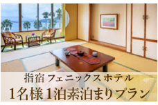 【鹿児島ひとり旅】1泊素泊まり宿泊券(指宿フェニックスホテル/033-1102) ホテル 宿泊券 旅行 旅 いぶすき ビジネス 素泊まり 砂むし 温泉