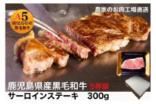 鹿児島県産5等級黒毛和牛サーロインステーキ300g(水迫畜産/010-544)23-GP5 国産 肉 牛 和牛 ステーキ 霜降り ギフト 贈答用 プレゼント 鹿児島 いぶすき