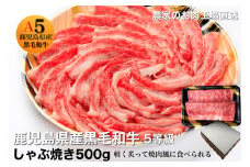 鹿児島県産5等級黒毛和牛薄切りしゃぶ焼500g(水迫畜産/010-543)23-GP4 国産 肉 牛 和牛 ステーキ しゃぶしゃぶ 鍋 すきやき 霜降り ギフト 贈答用 プレゼント 鹿児島 いぶすき 