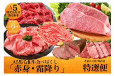 【全６回定期便】鹿児島県産A5黒毛和牛霜降り・赤身食べ尽くし定期便 3kg ギフト黒箱入(水迫畜産/Z120-550)M21 肉 牛 牛肉 豚 黒豚 ローストビーフ 切り落とし すき焼き しゃぶしゃぶ 薄切り 鹿児島 いぶすき
