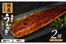 【鹿児島県産】うなぎ蒲焼じっくり焼き約250g×2尾 木目化粧箱入り(大新/020-1107) 鰻 蒲焼 国産 丑の日 うな重 無頭 ギフト ふっくら 小分け レンジ 簡単