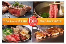 【全６回定期便】5等級鹿児島県産黒毛和牛 ステーキ・すき焼き・しゃぶしゃぶ！お肉の宝石箱定期便(水迫畜産/Z120-628) 牛肉 牛 肉 黒毛和牛 A5等級 国産 鹿児島 いぶすき