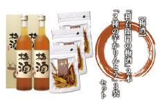 【 梅酒 】「利右衛門の梅酒」2本と「2種の芋かりんとう」3袋セット(ひご屋/010-1544) 梅酒 芋焼酎 原酒 に砂糖だけで漬けこんだ 梅酒 おつまみ セット 芋 かりんとう 黒糖 芋 かりんとう セット