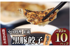 黒豚 餃子 10個入×10パック【地元の中華料理店で人気！】(紅龍/010-1577) 餃子 ギョウザ 黒豚 豚肉 ぎょうざ ギョウザ ギョーザ セット 餃子 ギョウザ 冷凍 黒豚 餃子 黒豚 鹿児島 ぎょうざ ギョウザ ギョーザぎょうざ 冷凍 ギョウザ 餃子鍋 点心 飲茶 中華 お惣菜 惣菜 そうざい おかず おつまみ 簡単 野菜 黒豚 豚 指宿 指宿市 鹿児島 餃子