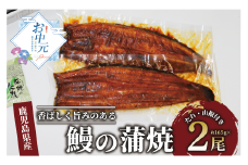 【お中元 日時指定可】鹿児島県産 鰻の蒲焼(無頭背開き)約165g×2尾(山中水産/016-1065c) のし 熨斗付き 熨斗対応 熨斗 うなぎ 国産 鹿児島 蒲焼 お中元 ギフト 夏ギフト プレゼント 中元 ウナギ かばやき 鰻蒲焼 うなぎ蒲焼 うなぎのかば焼き うなぎの蒲焼