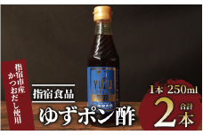 ゆずポン酢 250ml×2本(指宿食品/005-1638) ポン酢 ぽんず ゆず 柚子 万能 タレ たれ だし 出汁 国産 カツオ カツオタタキ たたき 刺身 調味料 ドレッシング サラダ カルパッチョ お茶漬け 豆腐 万能調味料 万能タレ お手軽 お試し 小容量