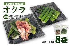 オクラ浅漬け(かつおだし・追いかつお)2種 各4袋(計8袋)(ちっきゃげ天/010-2002) オクラ 浅漬け 漬物 おつまみ 飯のお供 ごはんのおとも ご飯のおとも セット 国産 指宿市 指宿鰹節 鰹 鰹節 かつお節 かつお出汁 本枯節 本枯れ節 本枯 野菜 鹿児島県産