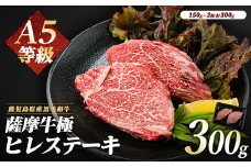 薩摩牛 極 ヒレステーキ 300ｇ(2枚入)(カミチク/026-1657) A5 国産 牛肉 牛 ブランド牛 ヘレ ヘレ肉 黒毛和牛 鹿児島県産 黒毛 A5ランク 国産牛 お肉 肉 ヒレ ヒレ肉 鉄板焼き 鹿児島 指宿 鹿児島県産 ギフト おかず ご褒美 ステーキ 和牛 冷凍 厚切り 厚切りステーキ きわみ 極み 薩摩 薩摩牛 さつま