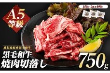 A5等級鹿児島県産黒毛和牛焼肉切り落とし750g(250g×3P)(カミチク/012-1659) 牛肉 牛 肉 お肉 黒毛和牛 黒毛 国産牛 国産 鹿児島県産 バーベキュー 切落し 和牛 A5 A5ランク ミスジ ウワミスジ インサイド ミックス キャンプ BBQ 野菜炒め 炒め物 家庭用 冷凍 小分け 焼肉用