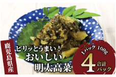 《ピリッとうまい！》おいしい明太高菜400g(100g×4P)(中園久太郎商店/005-1674) 漬物 漬け物 つけもの 鹿児島 指宿 いぶすき 久太郎 ご飯のお供 ごはんのおとも ご飯 ごはん お試し 小容量 小分け ポスト投函 鹿児島県産 国産高菜 たかな 明太 めんたい ピリ辛