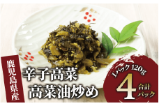 辛子高菜 高菜油炒め480g(120g×4P)(中園久太郎商店/005-1675) たかな 高菜 漬物 漬け物 つけもの  鹿児島 指宿 いぶすき 久太郎 ご飯のお供 ごはんのおとも ご飯 ごはん お試し 小容量 小分け ポスト投函 鹿児島県産 国産 チャーハン ラーメン