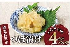 つぼ漬480g(120g×4P)(中園久太郎商店/005-1676) 漬物 漬け物 つけもの つぼづけ つぼずけ 鹿児島 指宿 いぶすき 久太郎 ご飯のお供 ごはんのおとも ご飯 ごはん お試し 小容量 小分け ポスト投函 鹿児島県産 国産 醤油漬け しょうゆ漬け だいこん 大根