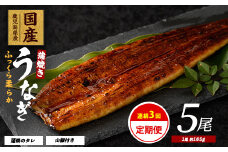 【全３回定期便・連続お届け】鹿児島県産うなぎ蒲焼じっくり焼き約165g×5尾(大新/Z100-1699) 鰻 蒲焼 国産 丑の日 うな重 無頭 ギフト ふっくら 小分け レンジ 簡単 頒布会 小分け うな丼 ウナギ 冷凍