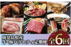 【全６回定期便】鹿児島県産牛・豚バラエティ定期便(Z120-1728) 牛 牛肉 肉 豚 豚肉 黒豚 茶美豚 サーロイン ステーキ 黒毛和牛 豚スライス 豚スラ カタロース ウデスライス ハンバーグ 餃子 中華 中華料理 黒豚餃子 鍋 しゃぶしゃぶ